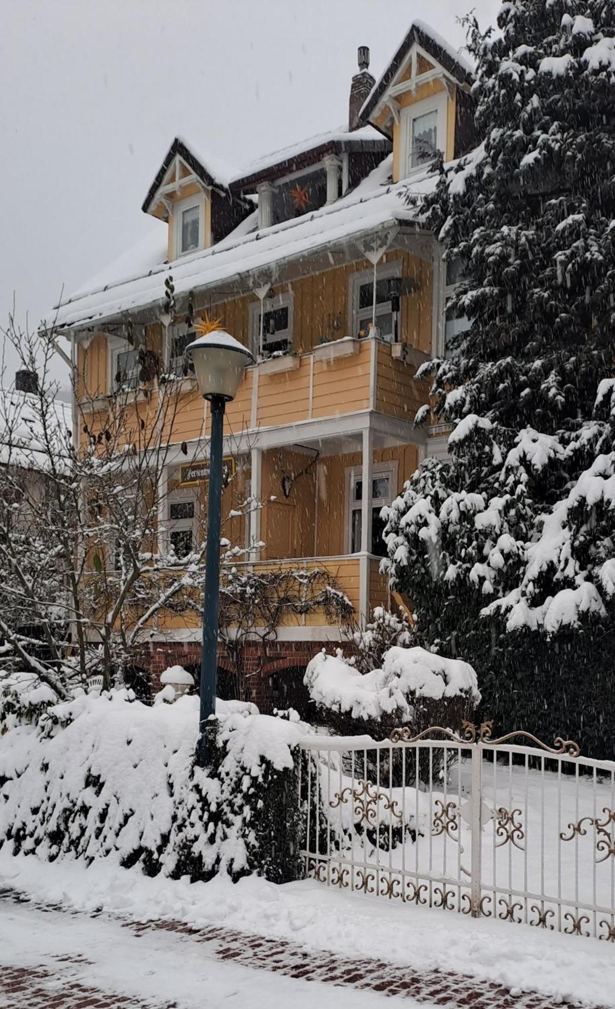 Erika'S Haus In Der Sonne Apartment Bad Grund Exterior photo